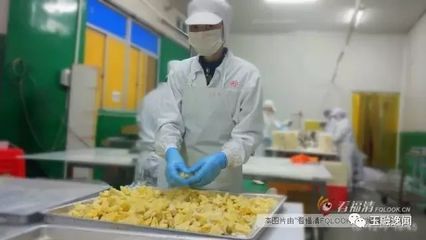 念其善 卖“不起眼”的水果，年销近2亿元的食品销售传奇